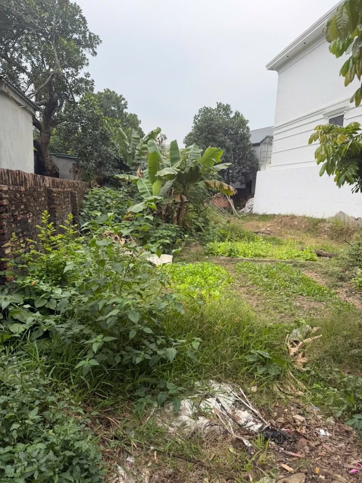 Đất nền 130.5m² tại xã Viên An, huyện Ứng Hòa - Giá cả hợp lý, sổ đỏ chính chủ!