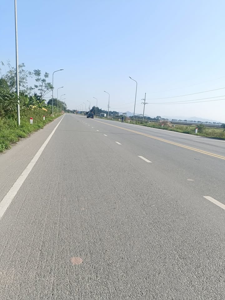 Đất trồng cây lâu năm tại Đại Hưng, Mỹ Đức, Hà Nội 3200m² - Mặt tiền đường tỉnh lộ 419!