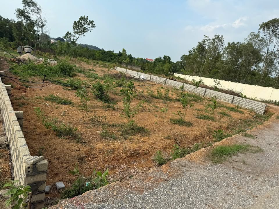 Đất nền Vật Lại, Ba Vì 700m² giá chỉ 400 triệu - Cơ hội đầu tư hiếm có!