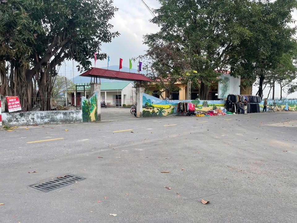 Đất thổ cư Hợp Châu Tam Đảo 132m² giá 1.7 tỷ - Vị trí đắc địa gần chợ và trường học!