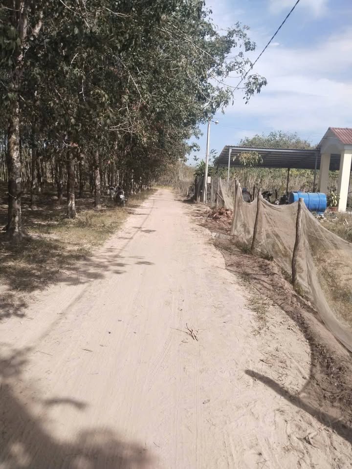 Đất nền Suối Dây, Tân Châu, Tây Ninh 990m² giá 280 triệu - Cơ hội đầu tư tuyệt vời!