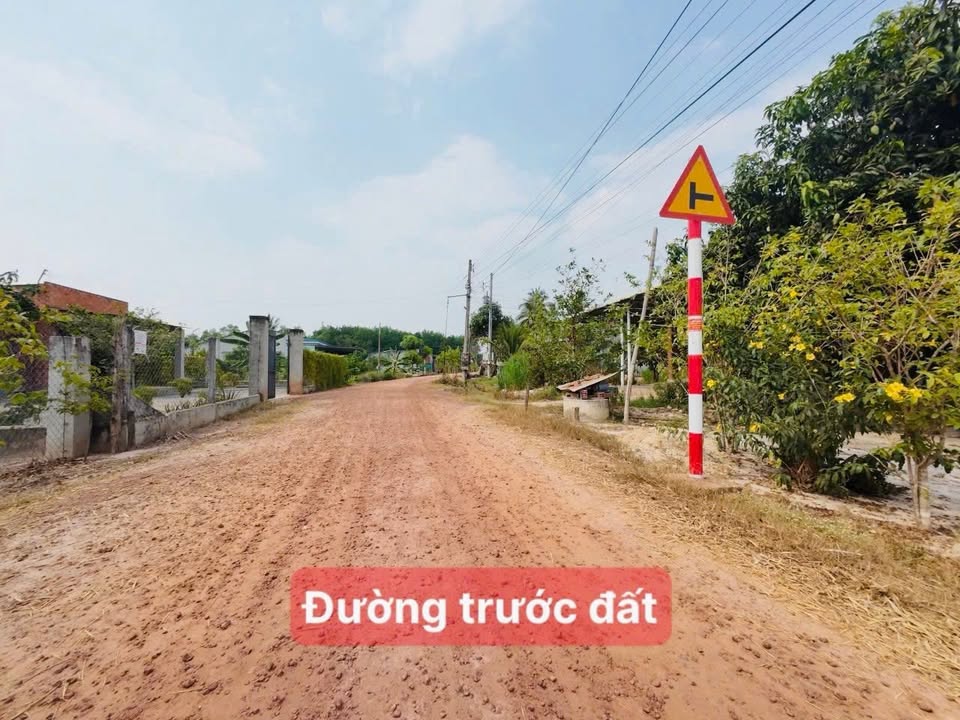 Đất thổ cư 250m² tại Chợ Gò Cát, Tây Ninh - Bán gấp chỉ 319 triệu!