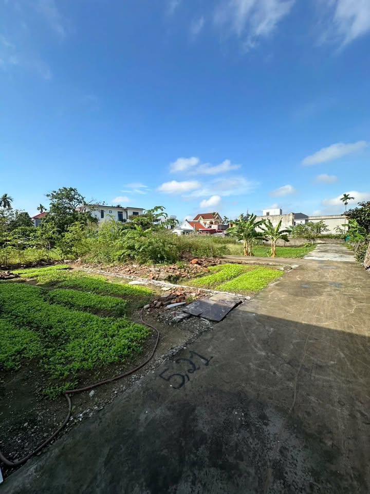 Đất nền An Hải, An Dương 54m² giá 1.2 tỷ - Cơ hội đầu tư hấp dẫn!