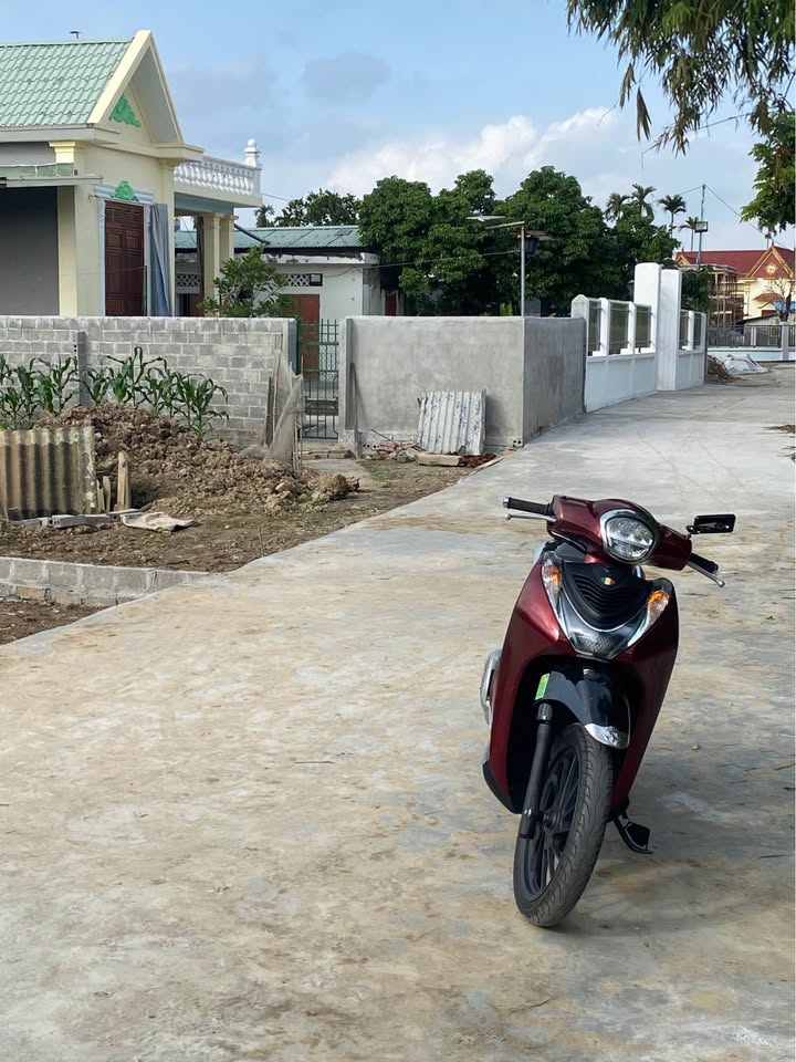 Đất nền An Trường, An Lão 202m² giá 1.7 tỷ - Đầu tư sinh lời cao!