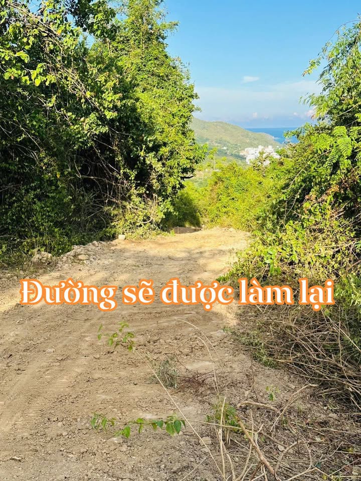 Đất triền núi Hòn Xện Vĩnh Hòa 8049m² giá 2.15 tỷ - Cơ hội đầu tư tuyệt vời!