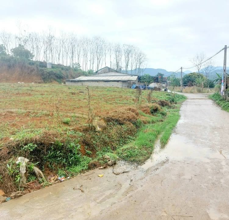 Đất thổ cư Phú Lạc 167m² giá thỏa thuận - Cơ hội đầu tư tuyệt vời!