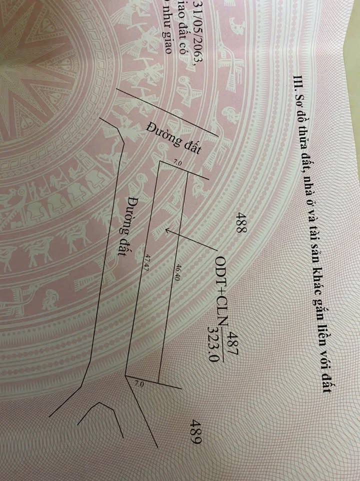 Đất nền Trảng Bàng Tây Ninh 329m² giá 1.6 tỷ - Sổ đỏ chính chủ, hai mặt tiền thông thoáng!