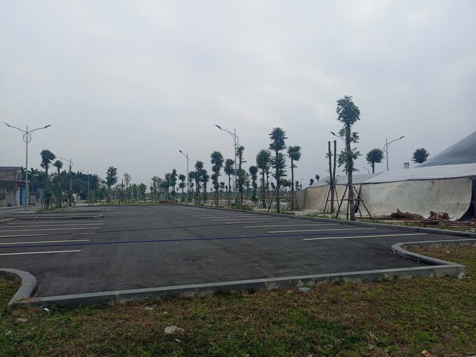 Đất Thụy Lâm Đông Anh 100m² chỉ 6 tỷ - Cơ hội đầu tư tuyệt vời!