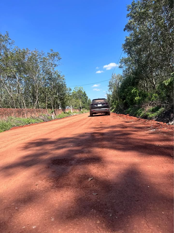 Đất nền Farm Long Hòa Dầu Tiếng 1ha - Giá tốt, chuyển đổi dễ dàng!