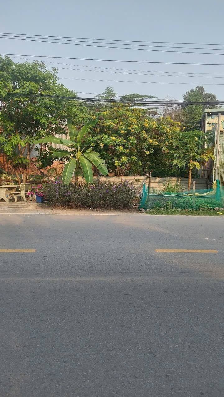 Đất nền 420m² đường Nguyễn Văn Khạ, Củ Chi - Giá thương lượng hấp dẫn!