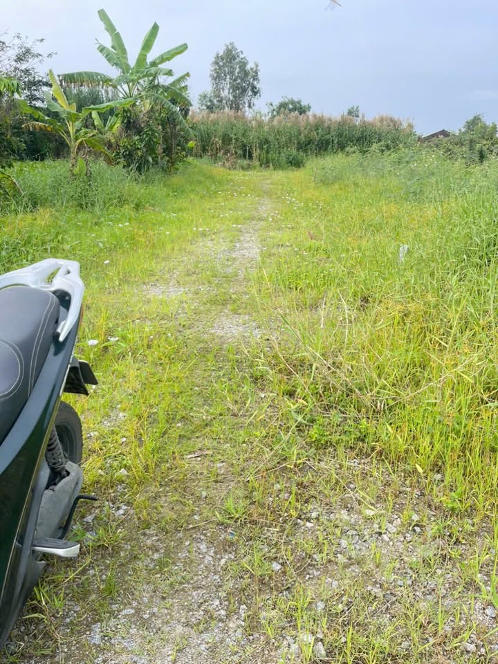 Đất nền Võ Trường Toản 300m² giá 900 triệu - Cơ hội đầu tư sinh lời hấp dẫn!