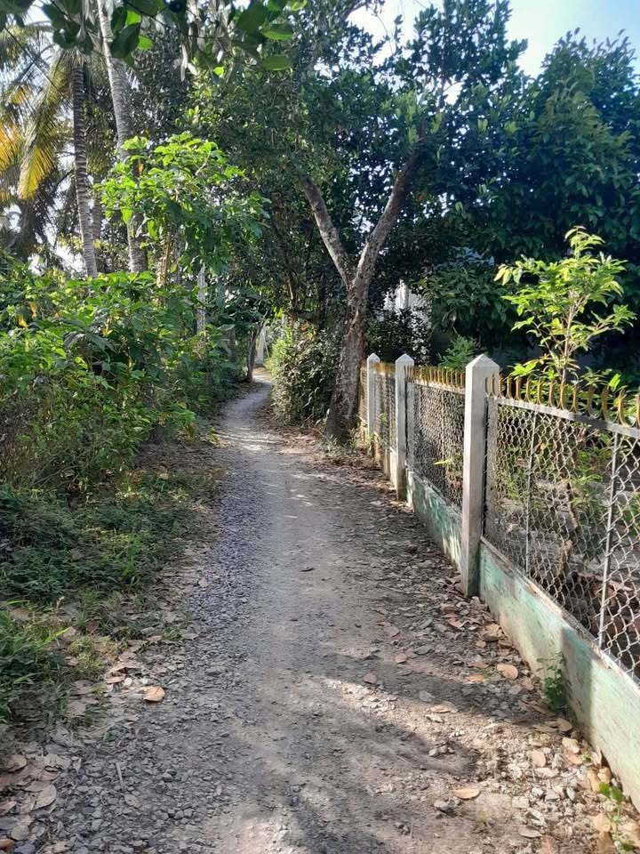 Đất vườn 5868m² phường Ô Môn Cần Thơ giá 3.2 tỷ - Đầu tư sinh lời ngay!