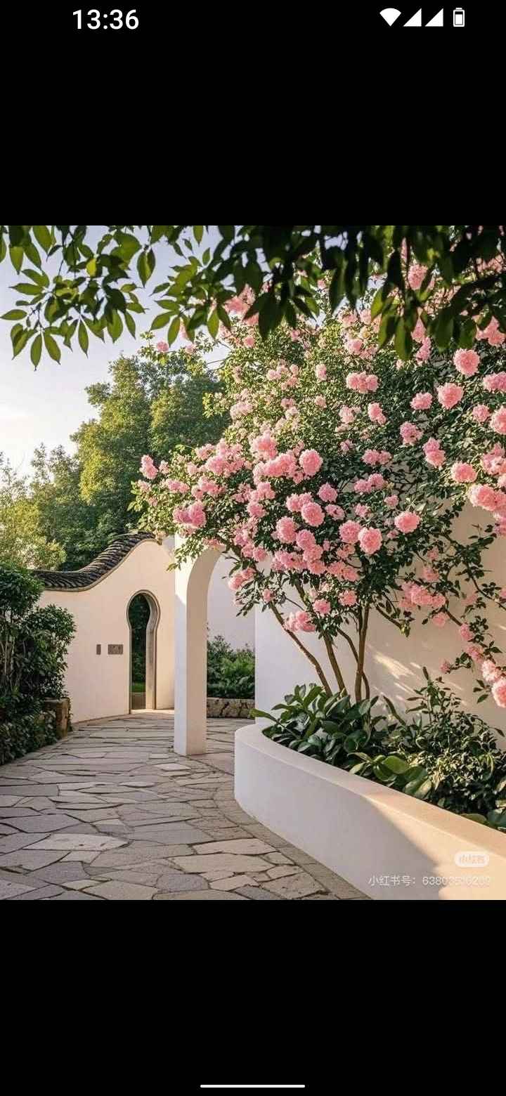 Đất vườn 600m² tại Phú Xuân, Thái Bình - Sổ đỏ chính chủ, giá thương lượng!