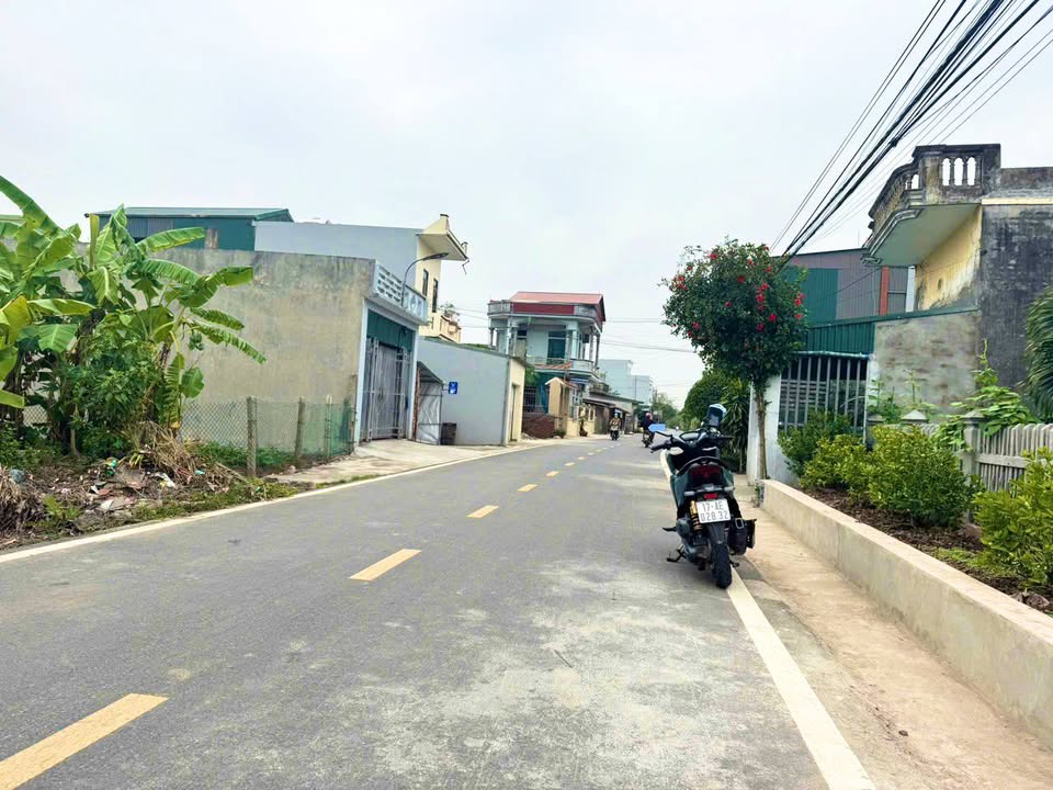 Đất thổ cư An Ninh Tiền Hải 113m² giá 1.1 tỷ - Mặt tiền kinh doanh đắc địa!