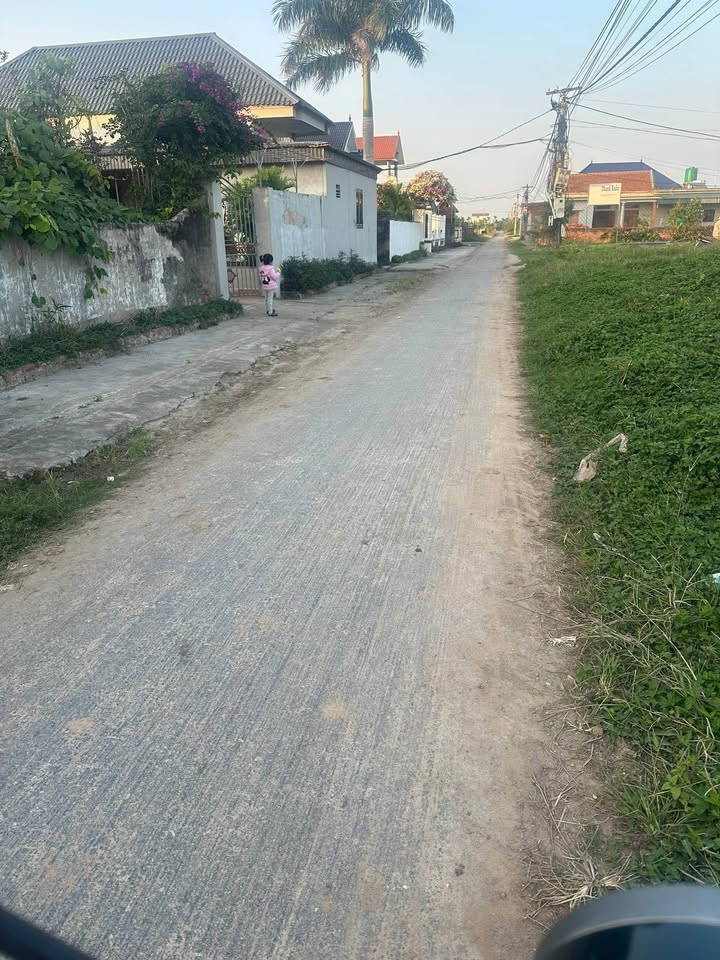 Đất nền Thụy Trường, Thái Thụy 100m² - Cơ hội đầu tư vàng!