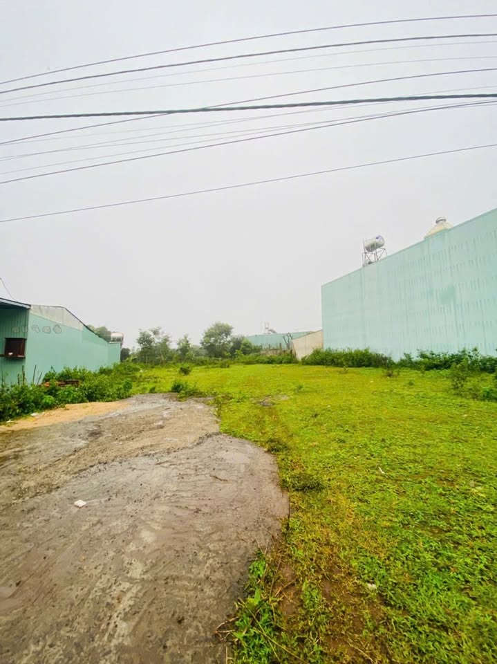 Đất mặt tiền đường Trường Sa, Pleiku 330m² - Cơ hội vàng cho nhà đầu tư!