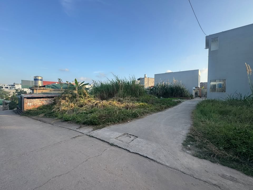 Đất nền chính chủ phường Hà Khẩu 87m² giá 1.xx tỷ - Tiện ích đầy đủ, giao thông thuận lợi!