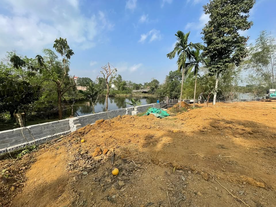 Đất nền view hồ Bạch Thạch, Quốc Oai 100m² - Cơ hội đầu tư tiềm năng!