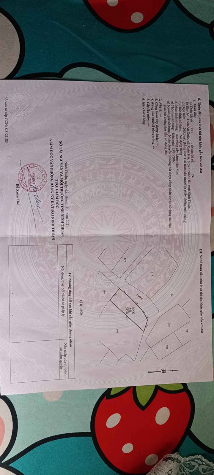 Bán lô đất 270m² mặt tiền khu dân cư Xuân Hải - Giá 470 triệu, cơ hội đầu tư tuyệt vời!