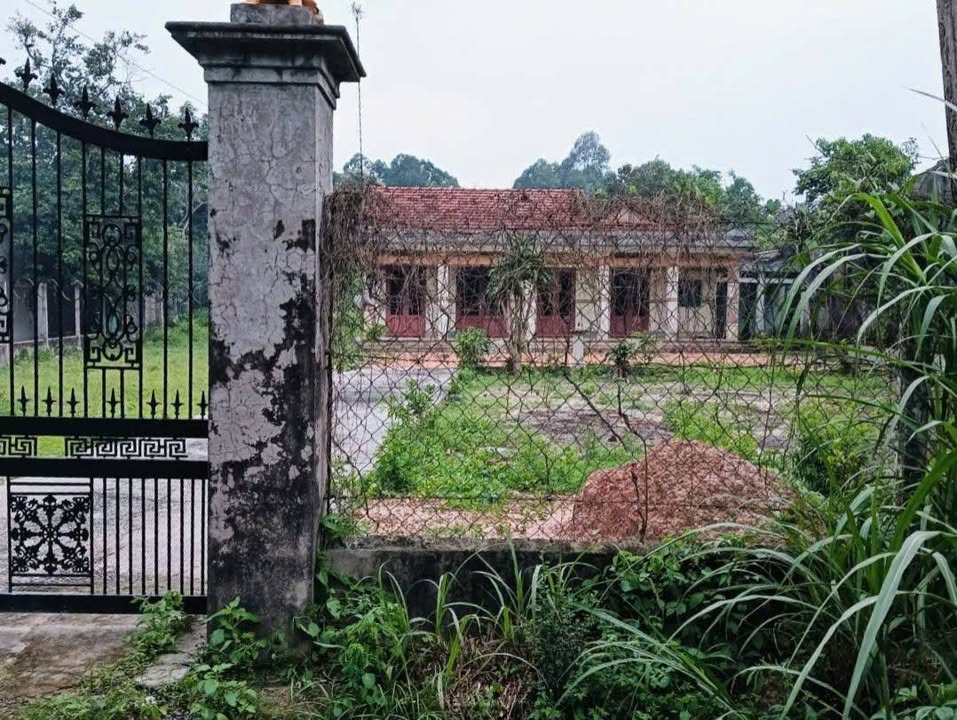 Đất nền An Nhơn Tây Củ Chi 1258m² giá 4.4 tỷ - Tiềm năng phát triển mạnh mẽ!