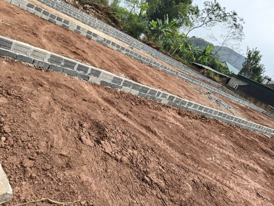 Đất thổ cư 120m² tại Đa Phúc, Yên Thủy, Hòa Bình giá chỉ 200 triệu - Đầu tư sinh lời hấp dẫn!