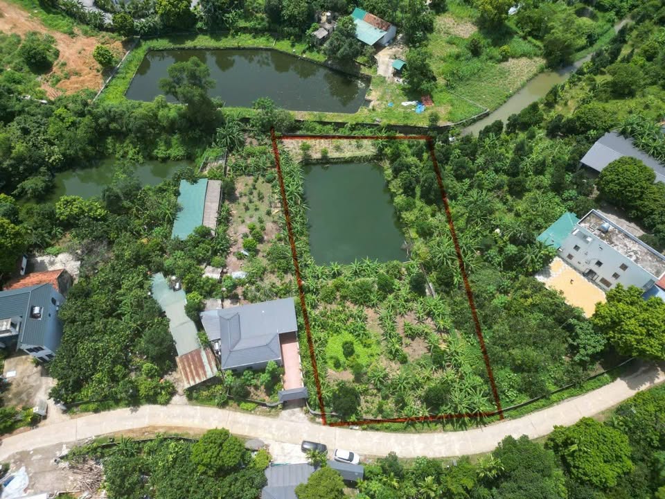 Đất nền Cư Yên Lương Sơn 1700m² - Tiềm năng đầu tư mạnh mẽ!