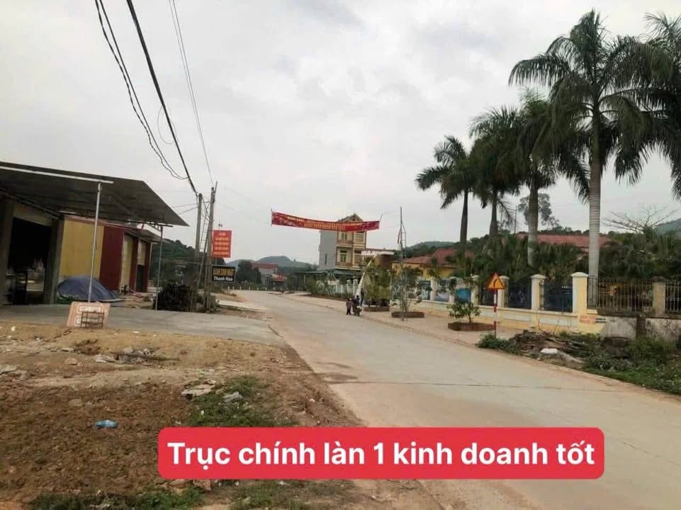Đất chính chủ Thôn Quéo, Phú Nhuận, Lục Ngạn 115m² - Giá tốt, kinh doanh thuận lợi!