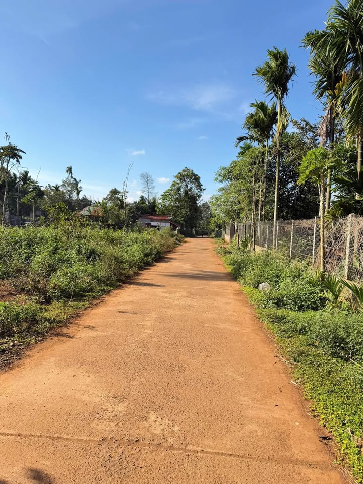 Đất nền Cuôr Đăng, Cư M'gar 125m² giá 435 triệu - Tiềm năng đầu tư vượt trội!