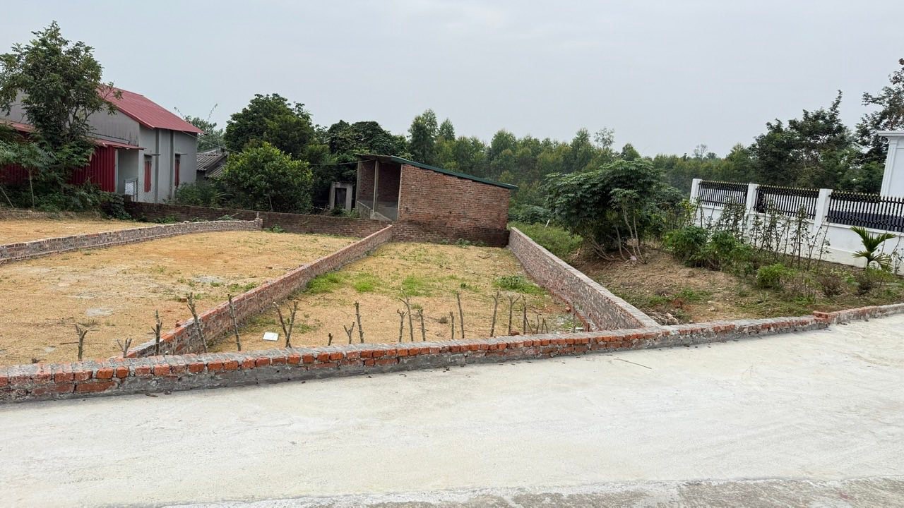 Đất nền Minh Quang, Tam Đảo 99m² giá chỉ từ 500 triệu - Đầu tư sinh lời cao!