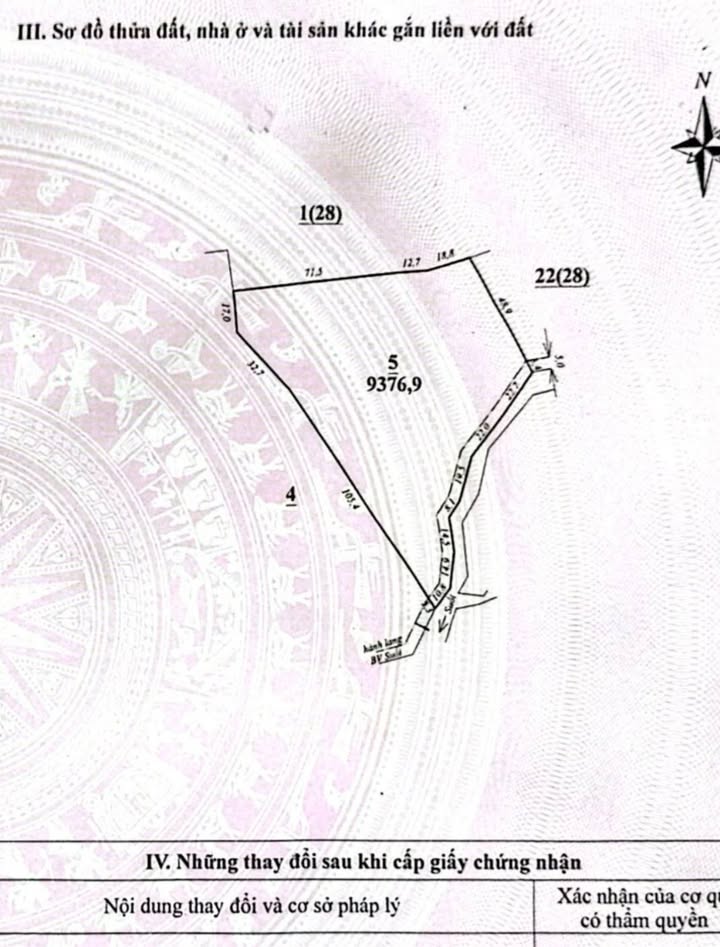 Đất nông nghiệp Sơn Điền 9300m² giá 930 triệu - Sổ đỏ chính chủ, trồng cà phê đẹp!