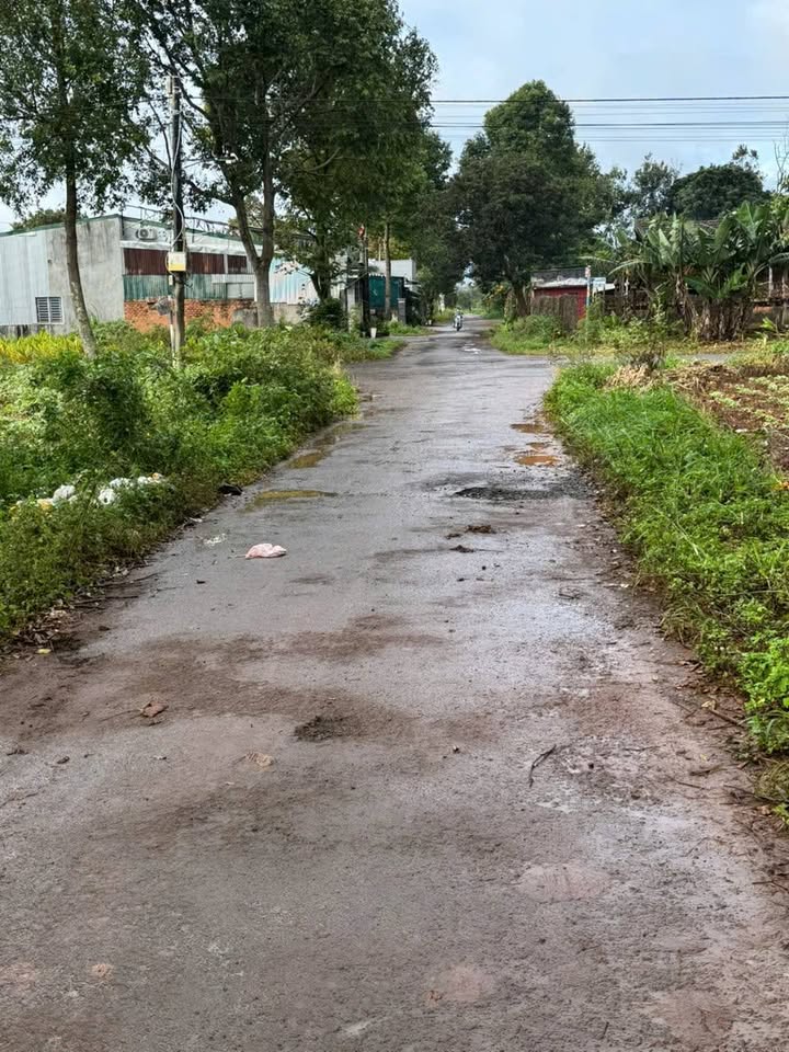 Bán đất đường Lê Quý Đôn, TT Ea Kar 189m² giá 1 tỷ - Vị trí đẹp, dân cư đông đúc!