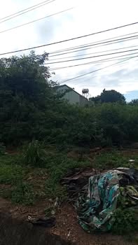 Đất nền Đà Lạt 1500m² giá 2 tỷ - Mặt tiền đường Đào Duy Từ!