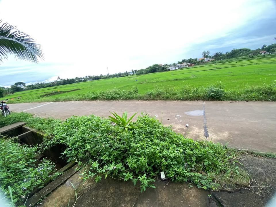 Đất nền đường Nguyễn Trường Tộ, Ea Kao, 286m² giá 1.6 tỷ - Gần trường học và bệnh viện!