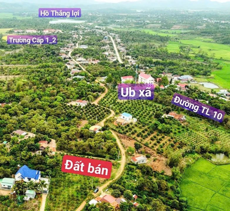 Đất thổ cư 560m² tại Cư Kuin, Đắk Lắk giá chỉ 289 triệu - Đầu tư lý tưởng!