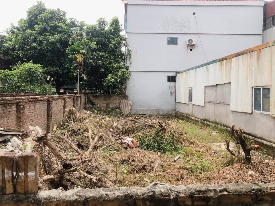 Đất nền Đa Tốn, Gia Lâm 177m² giá thương lượng - Sổ đỏ chính chủ, ô tô đỗ tận nơi!