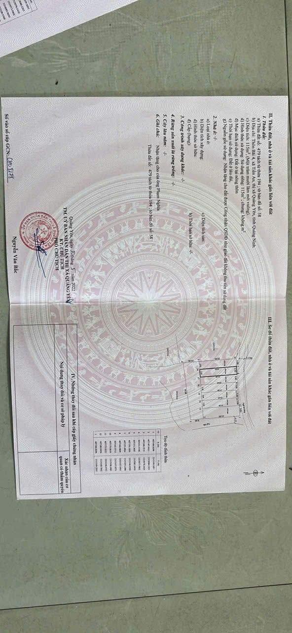 Đất nền Tiền An, Quảng Yên 115m² - Sổ đỏ chính chủ, đầu tư sinh lời!