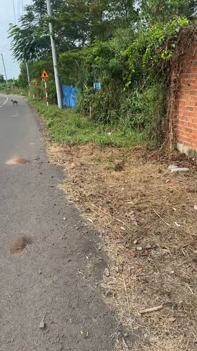 Nhà cấp 4 Trảng Bom 1260m² giá 1.55 tỷ - Không gian sống yên bình và thoải mái!