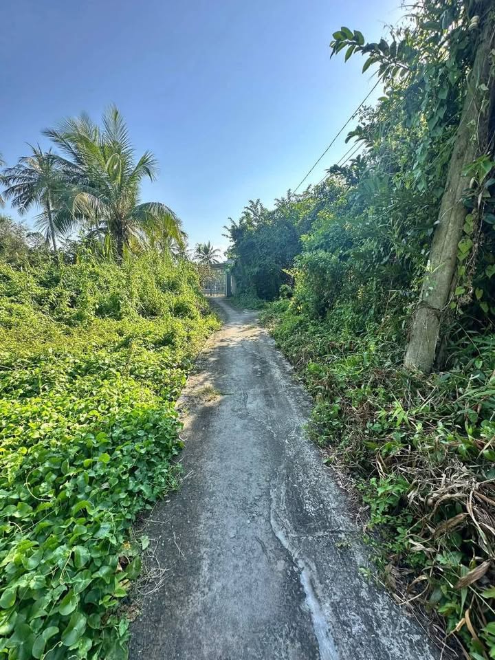 Đất thổ cư Phường 6, Tân An 100m² giá 680 triệu - Thương lượng ngay!