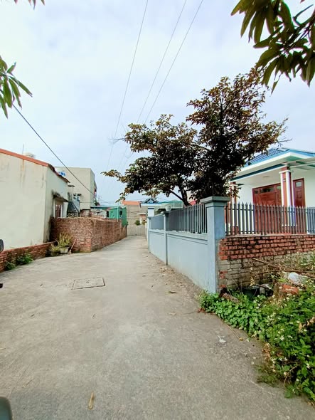 Đất nền 2 mặt tiền Ngõ 230 Cẩm Sơn 62m² giá 820 triệu - Cơ hội đầu tư hấp dẫn!