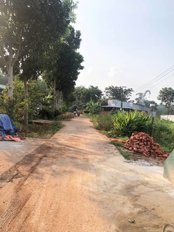 Đất nền Thanh Phú, Bình Long 200m² giá 5xx triệu - Tiềm năng phát triển mạnh mẽ!