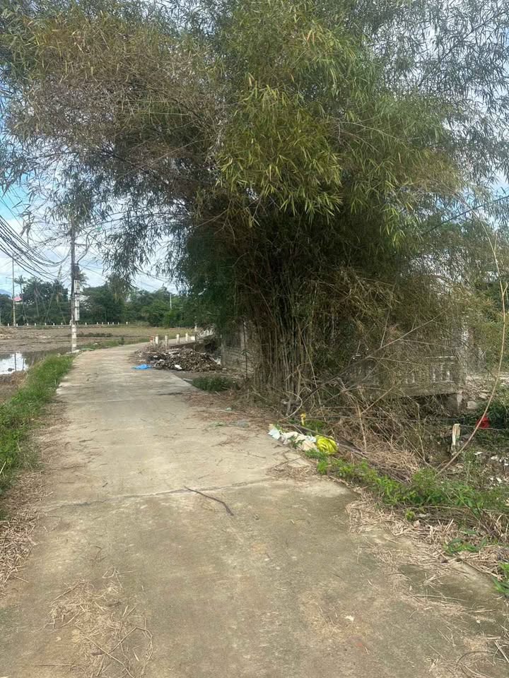 Đất thổ cư Tây Nha Trang 129m² giá 800 triệu - Đầu tư sinh lời ngay!