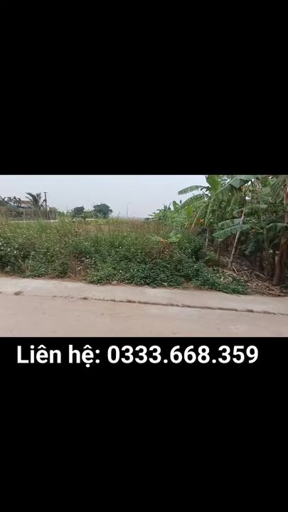 Đất nền Nghĩa Phú, Nghĩa Hưng 168m² giá chỉ 500 triệu - Cơ hội đầu tư tuyệt vời!