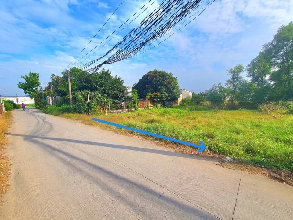 Đất nền ấp 1, xã Đức Hòa Đông 160m² giá 1.45 tỷ - Đầu tư sinh lời ngay!