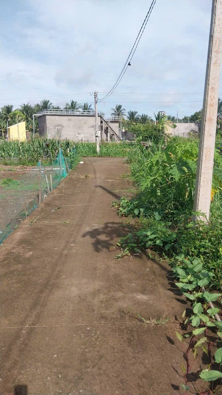 Đất nền 5x22m tại xã Bình Phú, Vĩnh Long - Giá chỉ 170 triệu, vị trí đẹp cho định cư!