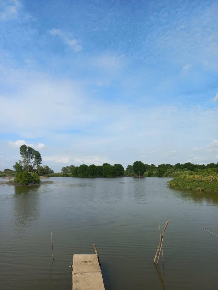 Đất bán Long Vĩnh, Duyên Hải, Trà Vinh 420.000m² - Cơ hội đầu tư hấp dẫn!