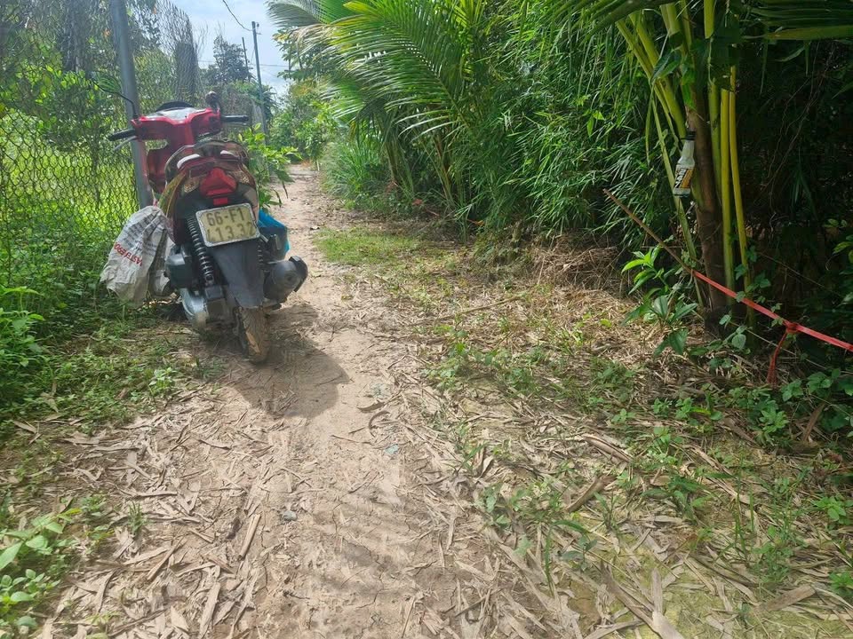 Đất vườn xoài 6500m² Bình Trung, Cao Lãnh - Giá chỉ 190 triệu!