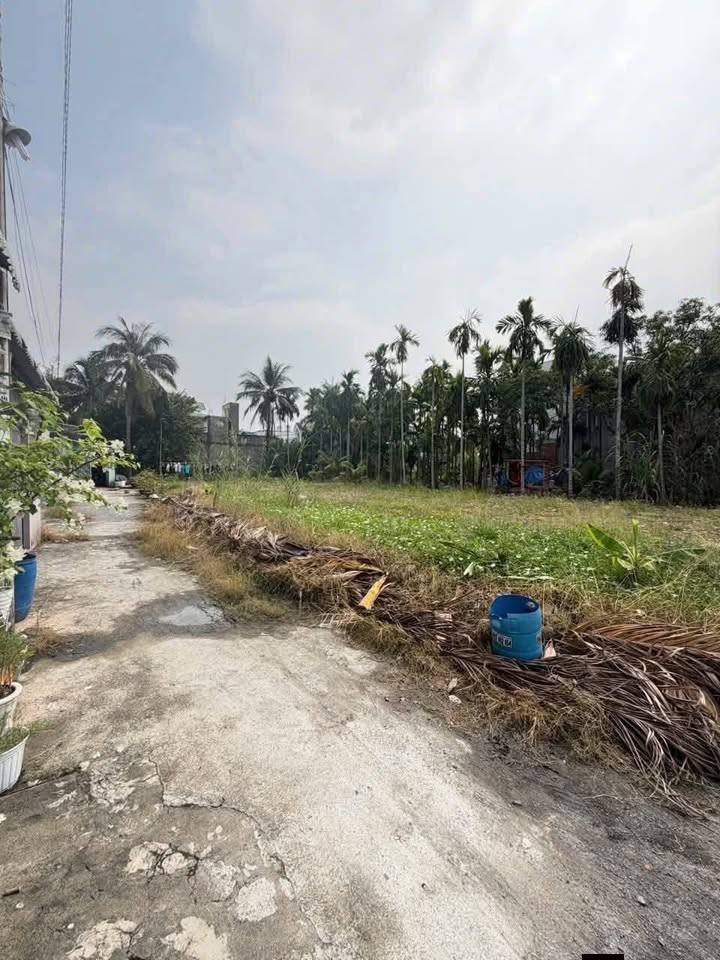 Đất nền Thạnh Xuân 52 Q12 54m² chỉ 2,7 tỷ - Cơ hội đầu tư hiếm có!