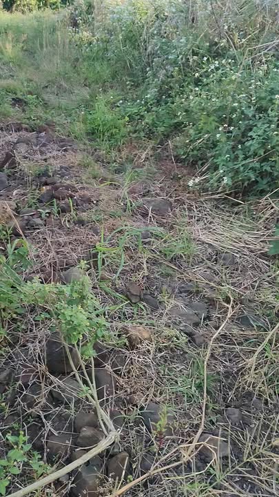 Đất nền Quảng Hiệp Cư M'gar 16.000m² giá 800 triệu - Cơ hội đầu tư tuyệt vời!