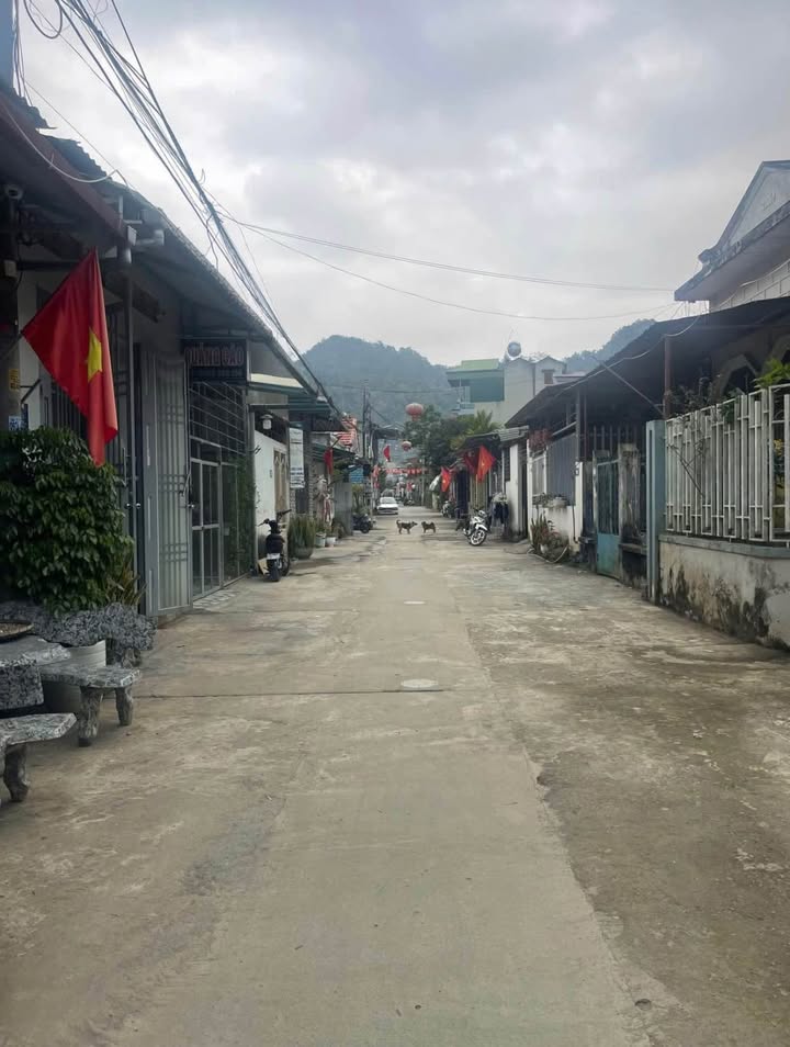 Nhà cấp 4 Tổ 14, Quyết Thắng 82m² - Pháp lý rõ ràng, giá thỏa thuận!