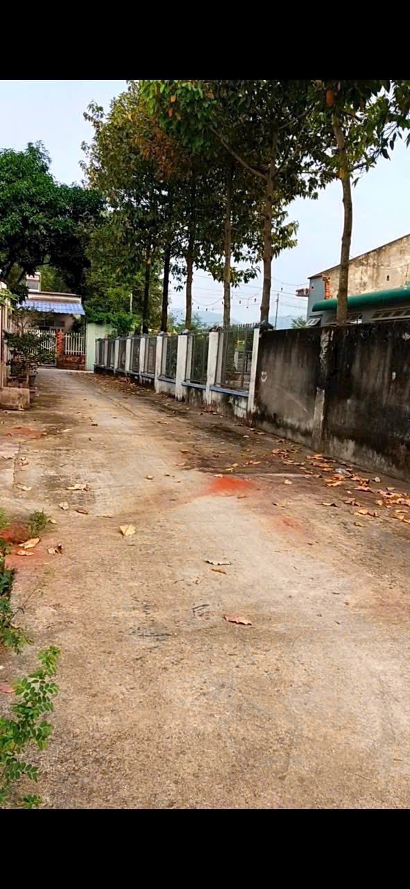 Đất nền Phước Hòa, Phú Mỹ 125m² giá 1.5 tỷ - Đất sạch, sẵn sàng xây dựng!